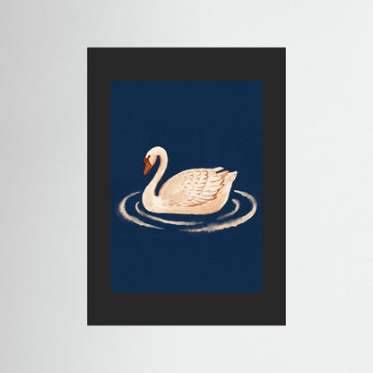Graceful Swan — Art Print
