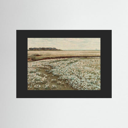 Wildflower Coast — Art Print  