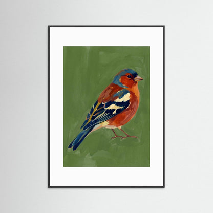 A Little Finch — Art Print  
