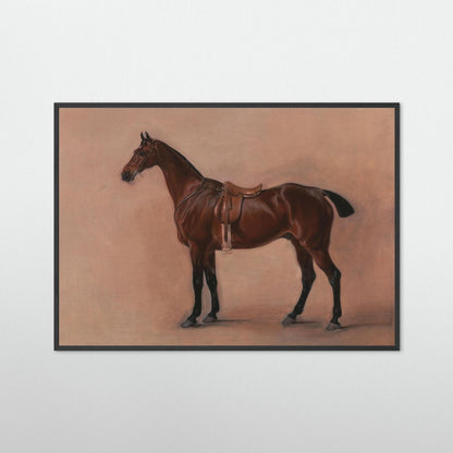 The Bay Horse  — Art Print   - Copy