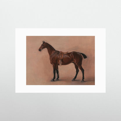 The Bay Horse  — Art Print   - Copy