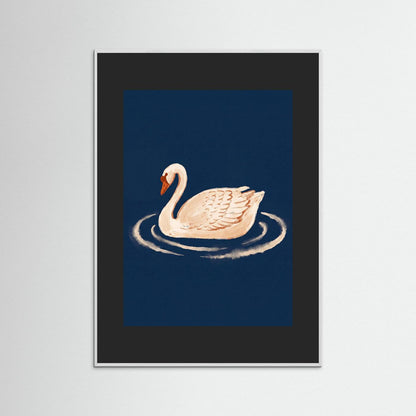 Graceful Swan — Art Print