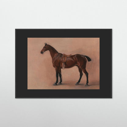 The Bay Horse  — Art Print   - Copy