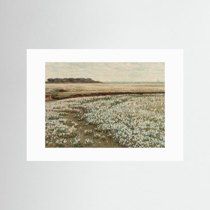 Wildflower Coast — Art Print  