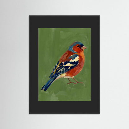 A Little Finch — Art Print  